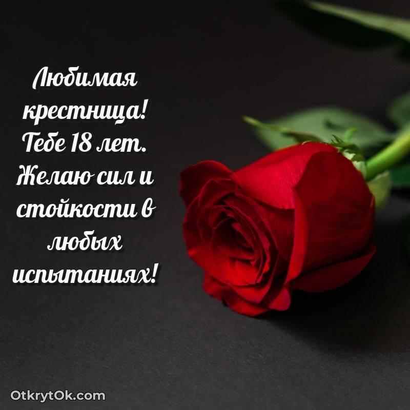 прикольная картинка для телефона