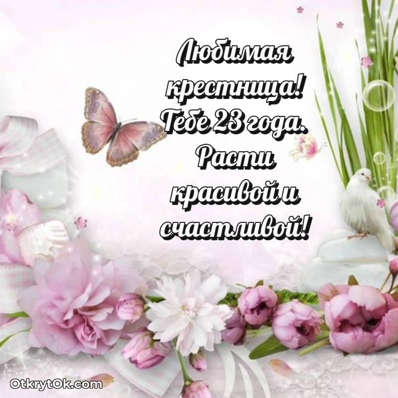 Картинка прикольная Крестнице на 23 года