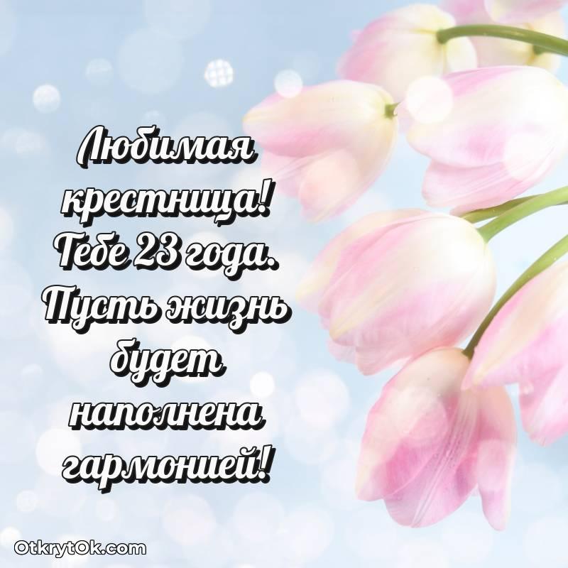 смешная анимашка с днем рождения — трогательное