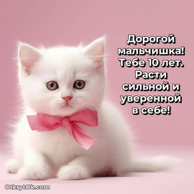 мерцающая гифка для ватсапа — милое