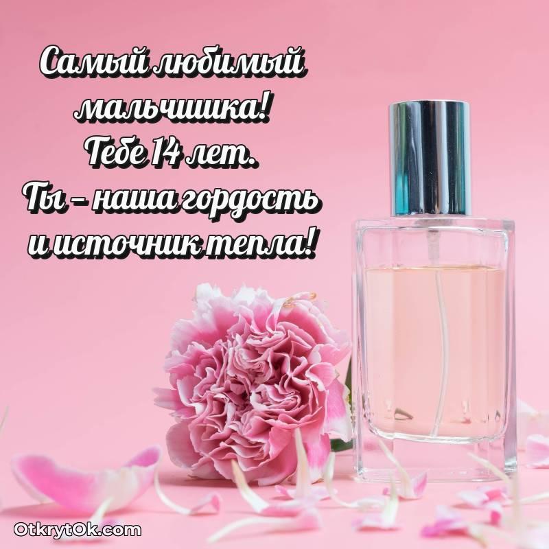 Иллюстрация Маме сына на 14 лет
