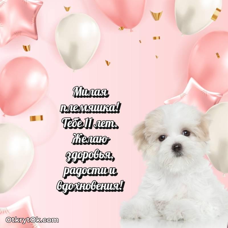 С днем рождения Племяннице открытки на 11 лет