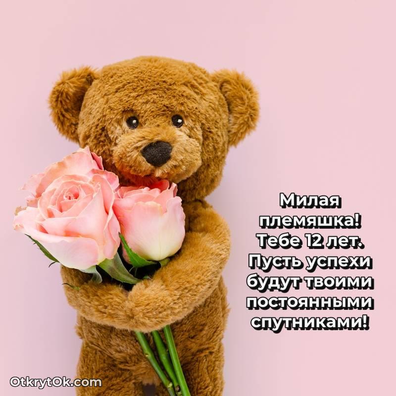 Красивое поздравление Племяннице 12 лет