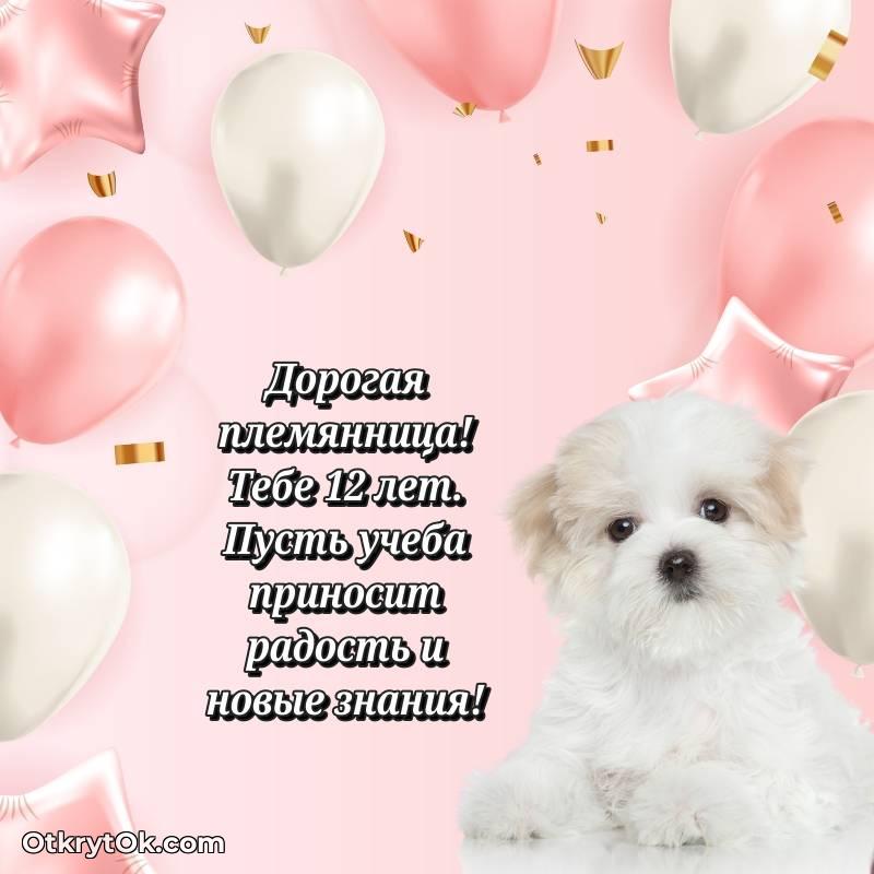 милое Племяннице открытки на 12 лет