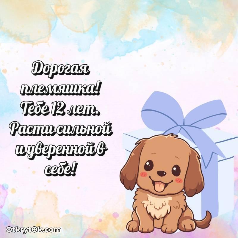 Поздравительная картинка Племяннице на 12 лет