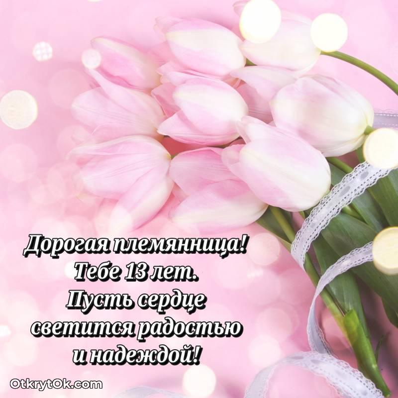 Праздничная открытка Племяннице 13 лет
