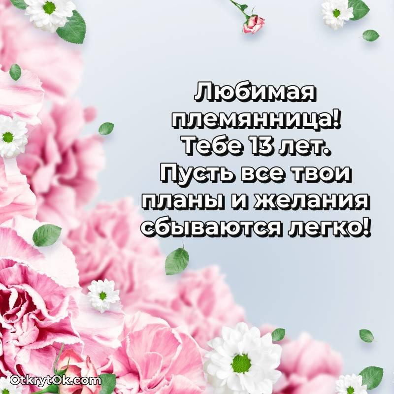 Картинка прикольная Племяннице на 13 лет — красивое