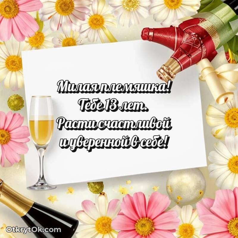 Картинка прикольная Племяннице на 13 лет
