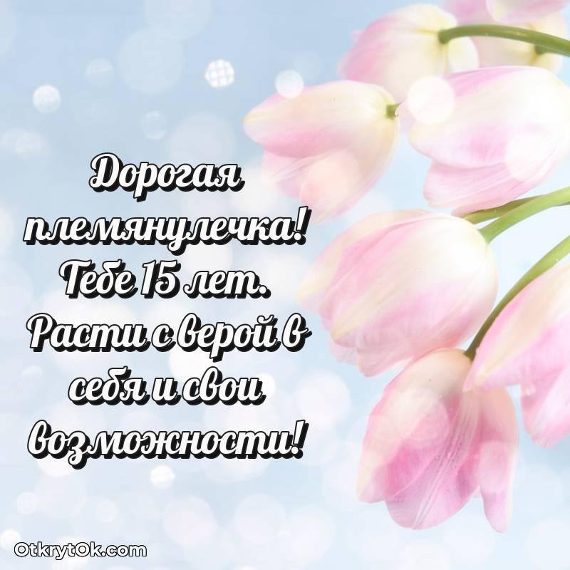 Иллюстрация Племяннице на 15 лет — весёлое