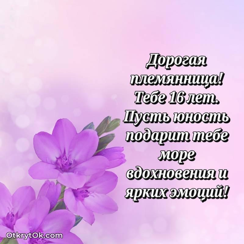 весёлое Картинка прикольная Племяннице на 16 лет