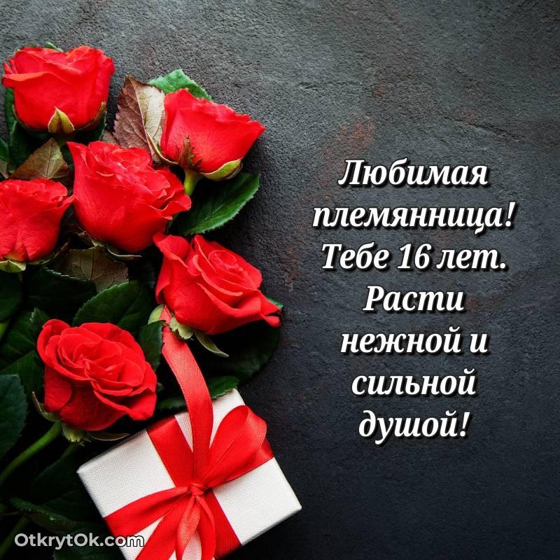 Иллюстрация Племяннице на 16 лет