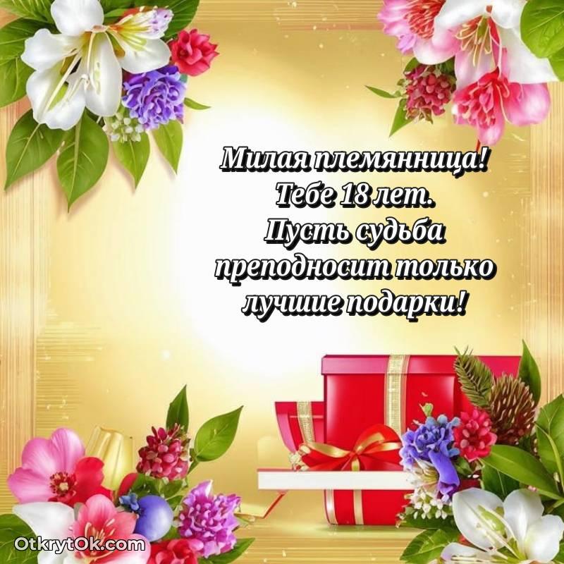 Картинка прикольная Племяннице на 18 лет