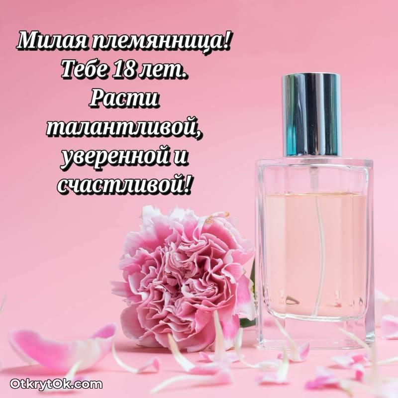 милое Иллюстрация Племяннице на 18 лет