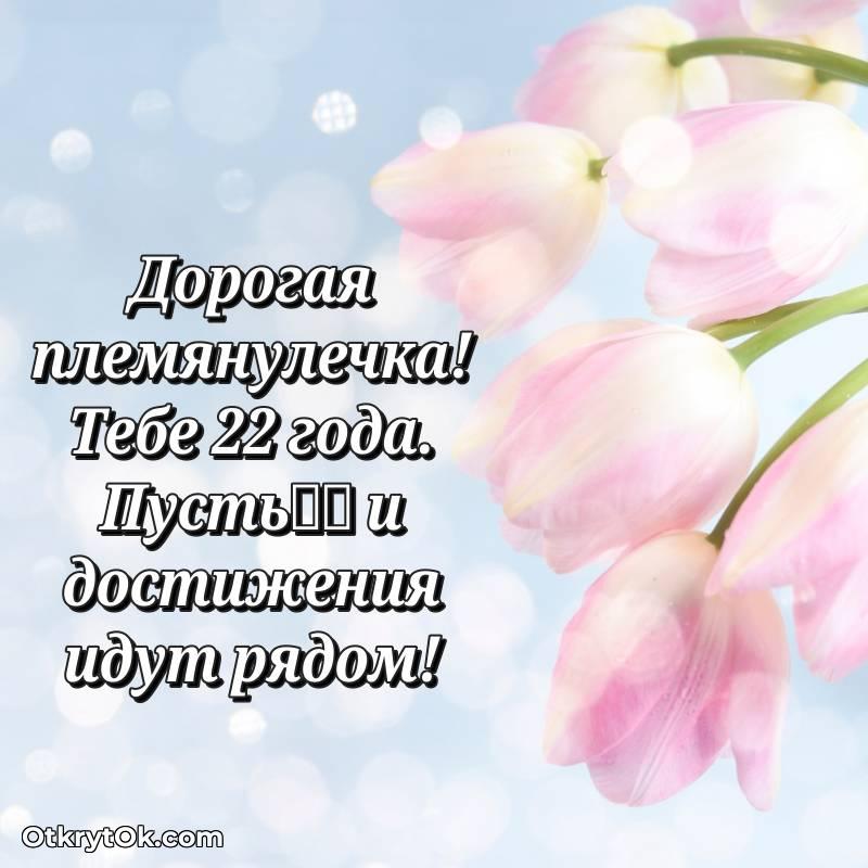 Картинка прикольная Племяннице на 22 года — стильное