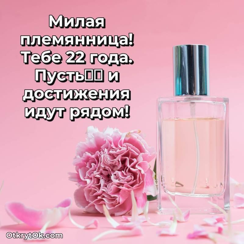оригинальное Красивое поздравление Племяннице 22 года