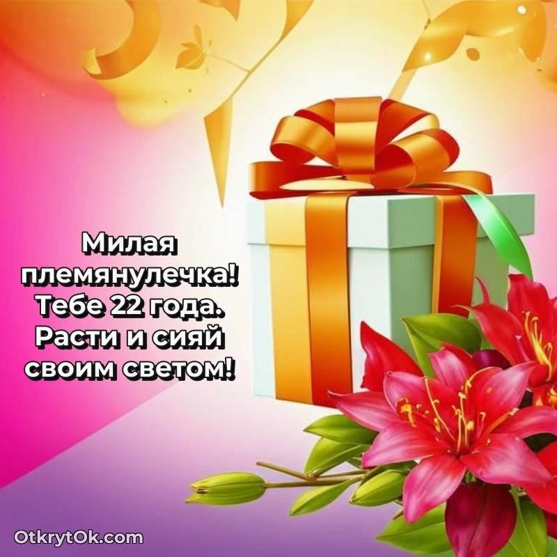 Иллюстрация Племяннице на 22 года