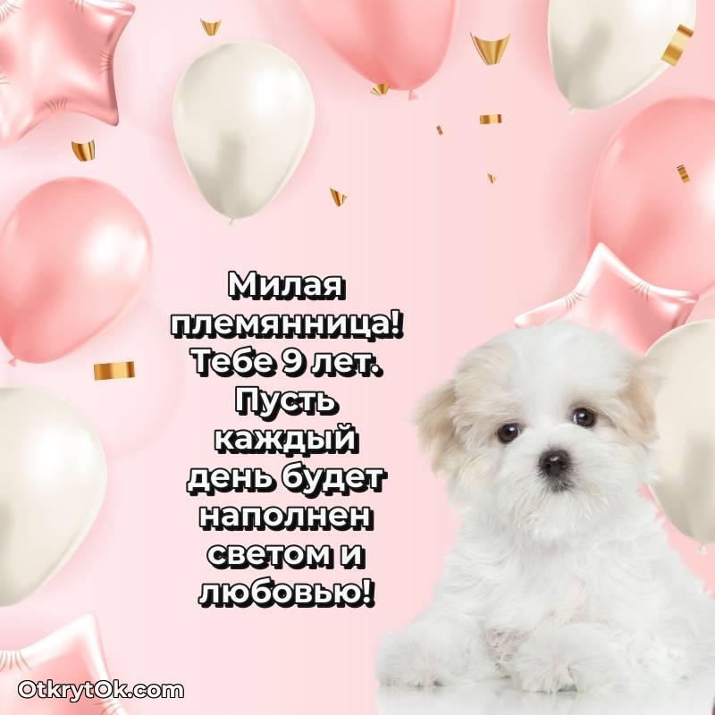 С днем рождения Племяннице открытки на 9 лет