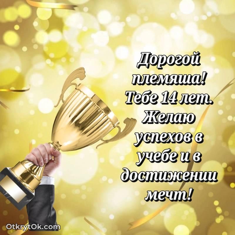 Иллюстрация Племяннику на 14 лет