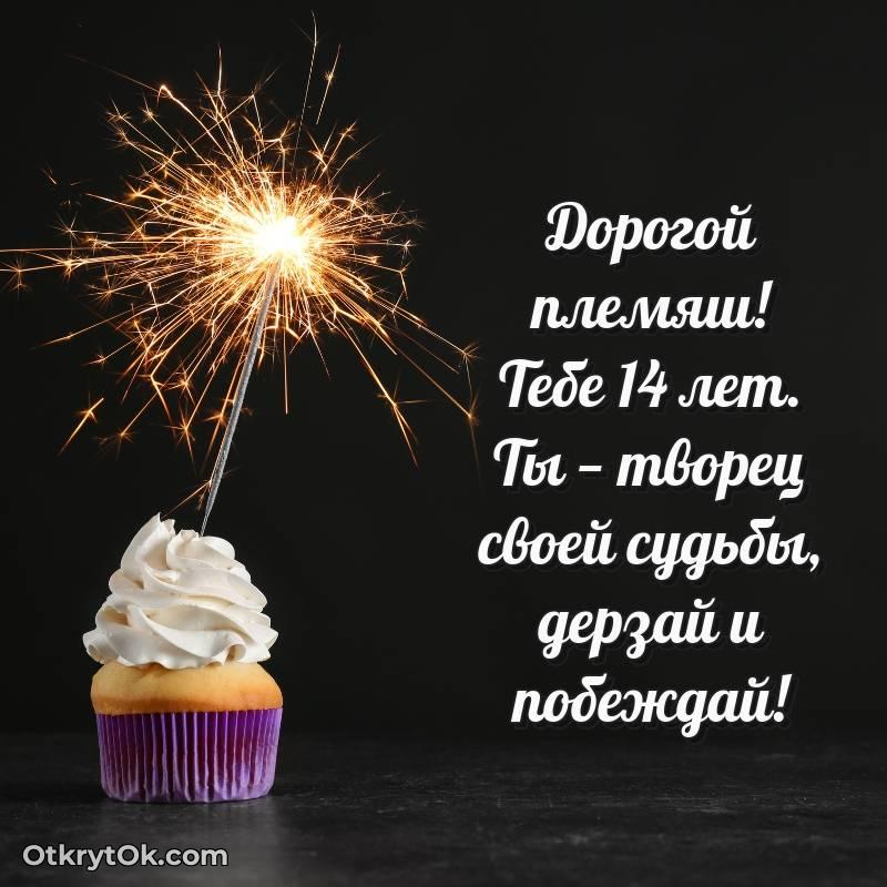 Картинка прикольная Племяннику на 14 лет