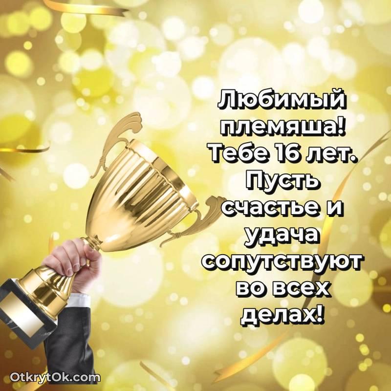 яркое Иллюстрация Племяннику на 16 лет