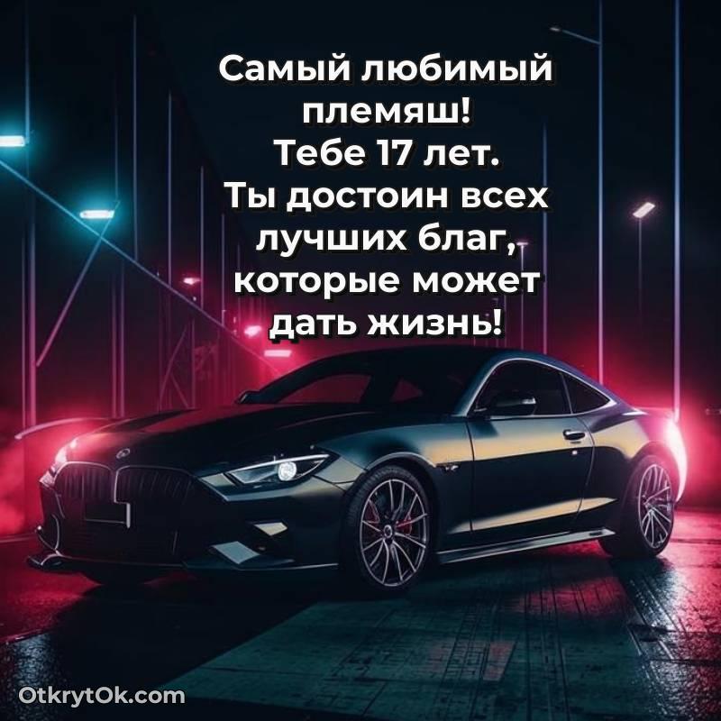 весёлое Иллюстрация Племяннику на 17 лет