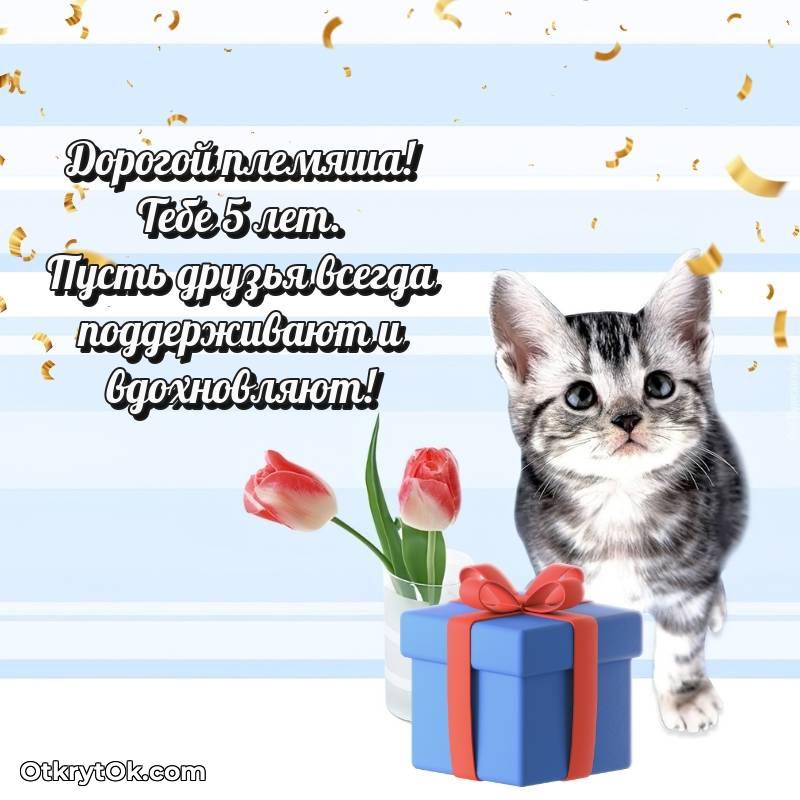 поздравительная анимашка Племяннику с днем рождения