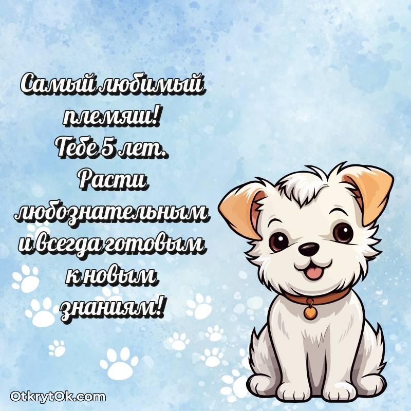 современные открытки на день рождения — яркое