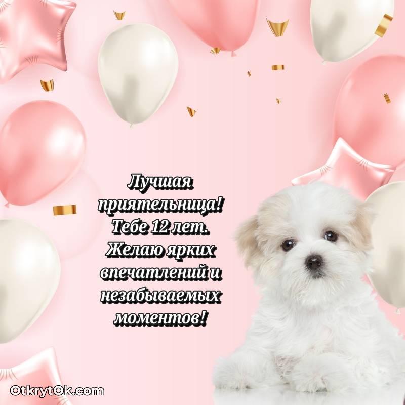 смешная анимашка с днем рождения