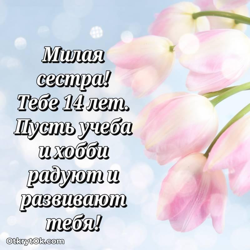 красивое С днем рождения Сестре открытки на 14 лет