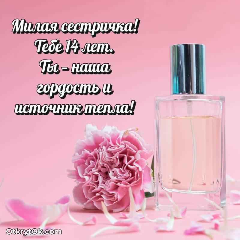 Картинка прикольная Сестре на 14 лет